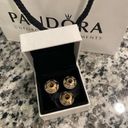 Pandora New 3  14k Yellow Gold Murano Charms Photo 0