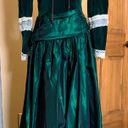 Handmade Merida REN FAIR Costume. Vnt 1990 Emerald Green Velvet & Taffeta LS Gown. Sz 6 Photo 0