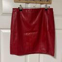 Iris Faux Leather Mini Skirt Photo 0