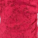 Ralph Lauren Lauren  Women's Dress Sz 12 Pink Lace Cinched Waist Sleeveless Midi Photo 4