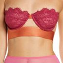 Anthropologie Dora Larsen  kiaran strapless underwire lace and satin bra - 34B Photo 0