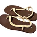 Everlane Balsa Lycra Swim Sandals Size 8 Photo 3