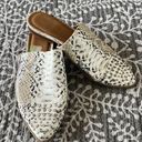 DV by Dolce Vit Dolce Vita Studded Snake Flats  Photo 1