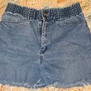 Anne Klein Vintage High Waisted Cut Off Shorts  Photo 0