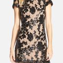 Dress the Population Nude And Black Lace Dress Photo 0