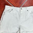 ALLSAINTS  Ash Denim Shorts Photo 0