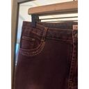 Cache  bedazzled  Size 10 Flare Denim Pants Photo 2