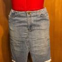 Ralph Lauren Denim Jean Skirt Photo 0