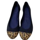 Jack Rogers  Bree Stretch Ballet Flat. Size 7 Women's Photo 0