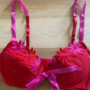 Frederick's of Hollywood Fredrick’s Of Hollywood Red And Pink Floral Ribbon Front Bra Size 36C Photo 0