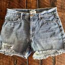 Just Black Denim JBD  Distressed Jean Shorts, Size Medium Photo 0