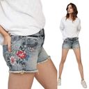 EXPRESS  Relaxed Low Rise Embroidered Floral Denim Shorts Size 8 Photo 1