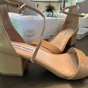 Steve Madden Pumps Photo 0