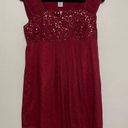 Ultra Pink  Wine Red Sleeveless Mini Dress Size Medium Photo 0