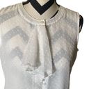 Tommy Hilfiger TOMMY HILLFIGER | SLEEVELESS | SHEER | BUTTON DOWN | TOP RUFFLE Photo 1