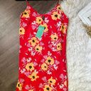 Divided NWT 8 Floral Dress  Photo 0