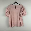 Milk and Honey  | Light Pink Textured Puff Sleeve Blouse Size 2X Photo 4