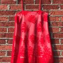 Show Me Your Mumu Vibrant Red  Risque Mesh & Embroidered Lace Slip Dress Photo 3