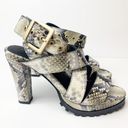 ALLSAINTS NWT All Saints Sienna Snakeskin Printed Leather Buckle Heeled Sandal 8 Photo 3