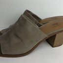 Krass&co G.H. Bass &  Paisley Taupe Mule Slip On Heels Photo 5