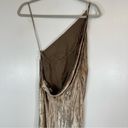 Michelle Mason NWT  Silk Maxi Dress With Back Cowl Velvet Neutral Tan Size 0 Photo 9