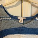 Sincerely Jules blue striped v neck sweater Photo 1