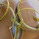 Ann Taylor  Yellow Croc Strappy Coastal Grandma Minimalist Beach Swim Sandals Photo 1