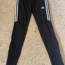 Adidas Pant Photo 1