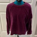 Banana Republic  Velvet Sweatshirt Photo 0