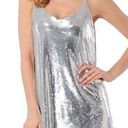 Silver Sequin Slip On Sweetheart Dress Photo 0