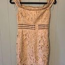 Blossom NWT  Nude Crochet Off The Shoulder Dress Size 8 Photo 0