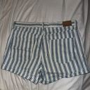 American Eagle Outfitters Striped Shorts Photo 2