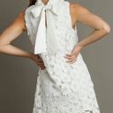 Boutique White Floral Lace Mini Dress Photo 1