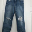 Pilcro  by Anthropologie the vintage straight jean women’s size‎ 27P petite Photo 0
