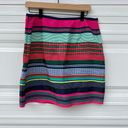 J. McLaughlin  Highland Joy Ribbon Skirt in Size 12 Photo 1