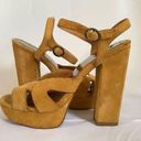 Zodiac  Suede Buckle Strap Platform Sandal Photo 2