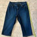 Gloria Vanderbilt Size 8 curvy all-around slimming effort jean bottoms •  Photo 1