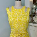 Cache  Floral Cutout Sheath Dress Yellow & White Size 2 Photo 3