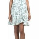 Rebecca Taylor  Emerald Daisy Print Ruffle Hem Dress Photo 0