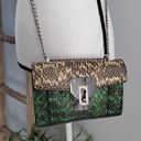 Kenneth Cole  Green Snakeskin Chain Strap Crossbody Shoulder Bag Photo 0