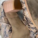 Coconuts by Matisse  Helga Animal Print Snake Print Buckle Ankle Booties size 8 Photo 5