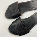 Everlane  | The Slide Sandal Black Flat Photo 1