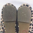 Jack Rogers  | flats cheetah print pointy toe 7.5 Photo 7