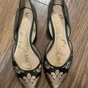 Sam Edelman Pointed Flats Size 5.5 Photo 0