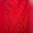 DO+BE NWT  Large Red Hot Lace Holiday Mini Dress Long Sleeve Size M Photo 7