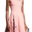 Oscar de la Renta NWT  Guipure lace-trimmed stretch-knit dress Size M Photo 6