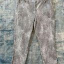 Ruby Rd  Gray Snake Print Cropped Denim Jeans Size 10 Photo 0