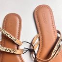 J.Crew  Women’s Double Strapped Animal Print Low Heel Comfortable Sandals Sz 8 Photo 5