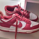 Nike Dunks Photo 0