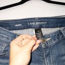 Lane Bryant  Blue Skinny Jeans Size 16R Photo 2